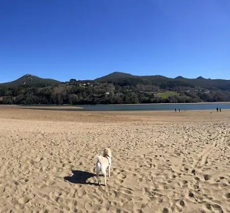 San Antonio By Urdaibai Busturia